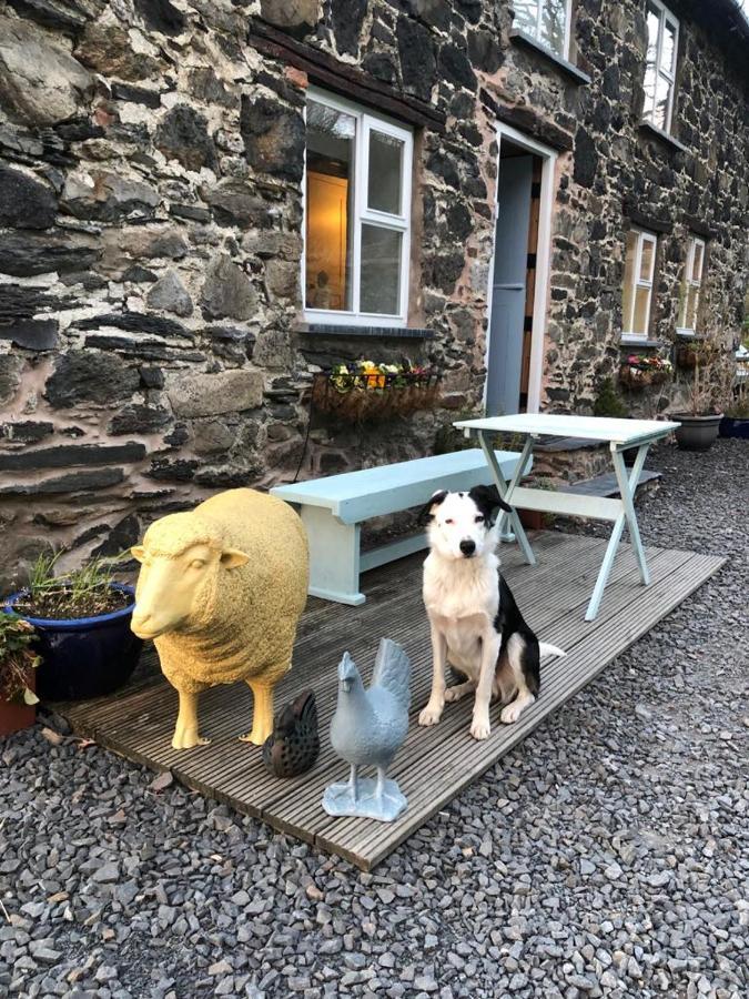 Bryn Glas Wales Villa Llangynog Eksteriør bilde